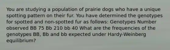 You are studying a population of prairie dogs who have a unique spotting pattern on their fur. You have determined the genotypes for spotted and non-spotted fur as follows: Genotypes Number observed BB 75 Bb 210 bb 40 What are the frequencies of the genotypes BB, Bb and bb expected under Hardy-Weinberg equilibrium?