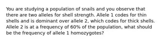 You are studying a population of snails and you observe that there are two alleles for shell strength. Allele 1 codes for thin shells and is dominant over allele 2, which codes for thick shells. Allele 2 is at a frequency of 60% of the population, what should be the frequency of allele 1 homozygotes?