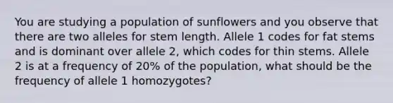 You are studying a population of sunflowers and you observe that there are two alleles for stem length. Allele 1 codes for fat stems and is dominant over allele 2, which codes for thin stems. Allele 2 is at a frequency of 20% of the population, what should be the frequency of allele 1 homozygotes?