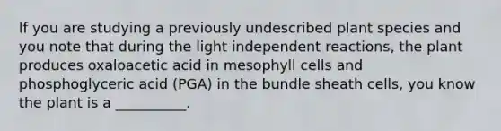 If you are studying a previously undescribed plant species and you note that during the light independent reactions, the plant produces oxaloacetic acid in mesophyll cells and phosphoglyceric acid (PGA) in the bundle sheath cells, you know the plant is a __________.