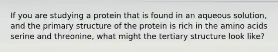 If you are studying a protein that is found in an aqueous solution, and the primary structure of the protein is rich in the amino acids serine and threonine, what might the tertiary structure look like?