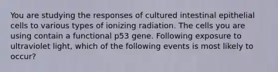 You are studying the responses of cultured intestinal epithelial cells to various types of ionizing radiation. The cells you are using contain a functional p53 gene. Following exposure to ultraviolet light, which of the following events is most likely to occur?