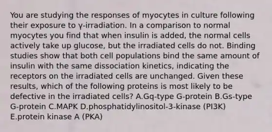 You are studying the responses of myocytes in culture following their exposure to γ-irradiation. In a comparison to normal myocytes you find that when insulin is added, the normal cells actively take up glucose, but the irradiated cells do not. Binding studies show that both cell populations bind the same amount of insulin with the same dissociation kinetics, indicating the receptors on the irradiated cells are unchanged. Given these results, which of the following proteins is most likely to be defective in the irradiated cells? A.Gq-type G-protein B.Gs-type G-protein C.MAPK D.phosphatidylinositol-3-kinase (PI3K) E.protein kinase A (PKA)