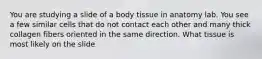 You are studying a slide of a body tissue in anatomy lab. You see a few similar cells that do not contact each other and many thick collagen fibers oriented in the same direction. What tissue is most likely on the slide