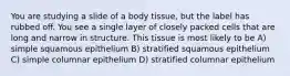 You are studying a slide of a body tissue, but the label has rubbed off. You see a single layer of closely packed cells that are long and narrow in structure. This tissue is most likely to be A) simple squamous epithelium B) stratified squamous epithelium C) simple columnar epithelium D) stratified columnar epithelium