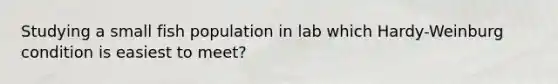 Studying a small fish population in lab which Hardy-Weinburg condition is easiest to meet?