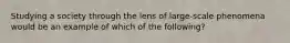 Studying a society through the lens of large-scale phenomena would be an example of which of the following?