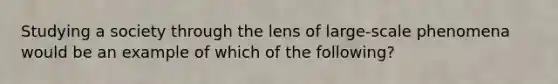 Studying a society through the lens of large-scale phenomena would be an example of which of the following?