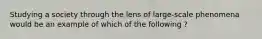 Studying a society through the lens of large-scale phenomena would be an example of which of the following ?