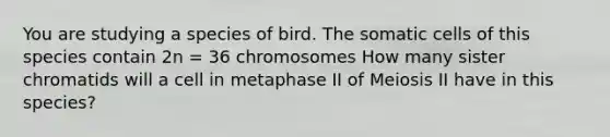 You are studying a species of bird. The somatic cells of this species contain 2n = 36 chromosomes How many sister chromatids will a cell in metaphase II of Meiosis II have in this species?