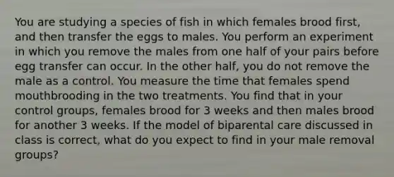 You are studying a species of fish in which females brood first, and then transfer the eggs to males. You perform an experiment in which you remove the males from one half of your pairs before egg transfer can occur. In the other half, you do not remove the male as a control. You measure the time that females spend mouthbrooding in the two treatments. You find that in your control groups, females brood for 3 weeks and then males brood for another 3 weeks. If the model of biparental care discussed in class is correct, what do you expect to find in your male removal groups?