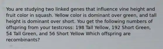 You are studying two linked genes that influence vine height and fruit color in squash. Yellow color is dominant over green, and tall height is dominant over short. You get the following numbers of offspring from your testcross: 198 Tall Yellow, 192 Short Green, 54 Tall Green, and 56 Short Yellow Which offspring are recombinants?