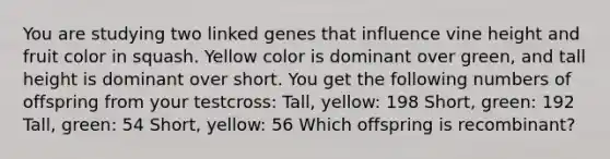 You are studying two linked genes that influence vine height and fruit color in squash. Yellow color is dominant over green, and tall height is dominant over short. You get the following numbers of offspring from your testcross: Tall, yellow: 198 Short, green: 192 Tall, green: 54 Short, yellow: 56 Which offspring is recombinant?