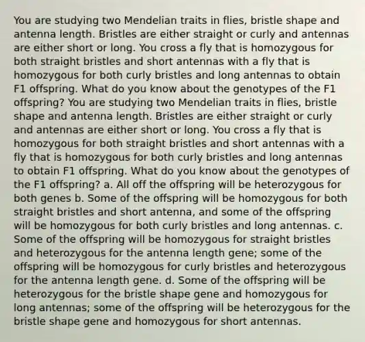 You are studying two Mendelian traits in flies, bristle shape and antenna length. Bristles are either straight or curly and antennas are either short or long. You cross a fly that is homozygous for both straight bristles and short antennas with a fly that is homozygous for both curly bristles and long antennas to obtain F1 offspring. What do you know about the genotypes of the F1 offspring? You are studying two Mendelian traits in flies, bristle shape and antenna length. Bristles are either straight or curly and antennas are either short or long. You cross a fly that is homozygous for both straight bristles and short antennas with a fly that is homozygous for both curly bristles and long antennas to obtain F1 offspring. What do you know about the genotypes of the F1 offspring? a. All off the offspring will be heterozygous for both genes b. Some of the offspring will be homozygous for both straight bristles and short antenna, and some of the offspring will be homozygous for both curly bristles and long antennas. c. Some of the offspring will be homozygous for straight bristles and heterozygous for the antenna length gene; some of the offspring will be homozygous for curly bristles and heterozygous for the antenna length gene. d. Some of the offspring will be heterozygous for the bristle shape gene and homozygous for long antennas; some of the offspring will be heterozygous for the bristle shape gene and homozygous for short antennas.