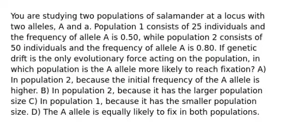 You are studying two populations of salamander at a locus with two alleles, A and a. Population 1 consists of 25 individuals and the frequency of allele A is 0.50, while population 2 consists of 50 individuals and the frequency of allele A is 0.80. If genetic drift is the only evolutionary force acting on the population, in which population is the A allele more likely to reach fixation? A) In population 2, because the initial frequency of the A allele is higher. B) In population 2, because it has the larger population size C) In population 1, because it has the smaller population size. D) The A allele is equally likely to fix in both populations.