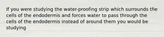 If you were studying the water-proofing strip which surrounds the cells of the endodermis and forces water to pass through the cells of the endodermis instead of around them you would be studying