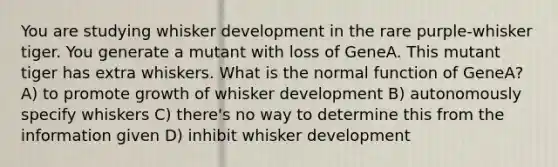 You are studying whisker development in the rare purple-whisker tiger. You generate a mutant with loss of GeneA. This mutant tiger has extra whiskers. What is the normal function of GeneA? A) to promote growth of whisker development B) autonomously specify whiskers C) there's no way to determine this from the information given D) inhibit whisker development