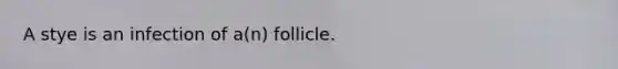 A stye is an infection of a(n) follicle.