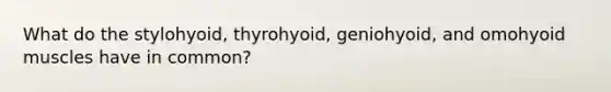 What do the stylohyoid, thyrohyoid, geniohyoid, and omohyoid muscles have in common?