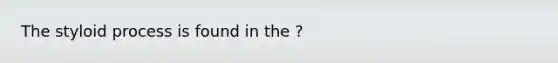 The styloid process is found in the ?