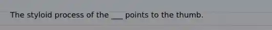 The styloid process of the ___ points to the thumb.