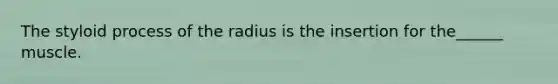 The styloid process of the radius is the insertion for the______ muscle.