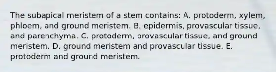 The subapical meristem of a stem contains: A. protoderm, xylem, phloem, and ground meristem. B. epidermis, provascular tissue, and parenchyma. C. protoderm, provascular tissue, and ground meristem. D. ground meristem and provascular tissue. E. protoderm and ground meristem.