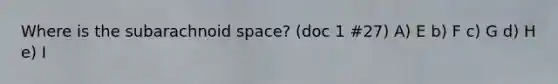 Where is the subarachnoid space? (doc 1 #27) A) E b) F c) G d) H e) I