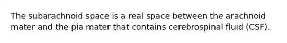 The subarachnoid space is a real space between the arachnoid mater and the pia mater that contains cerebrospinal fluid (CSF).