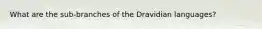 What are the sub-branches of the Dravidian languages?