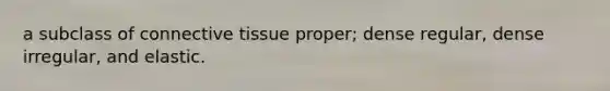 a subclass of connective tissue proper; dense regular, dense irregular, and elastic.
