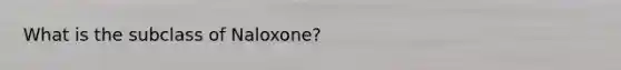 What is the subclass of Naloxone?