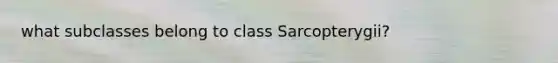 what subclasses belong to class Sarcopterygii?