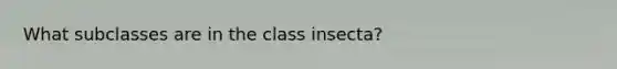 What subclasses are in the class insecta?