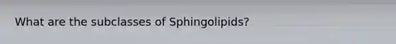 What are the subclasses of Sphingolipids?