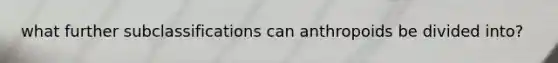 what further subclassifications can anthropoids be divided into?