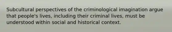 Subcultural perspectives of the criminological imagination argue that people's lives, including their criminal lives, must be understood within social and historical context.