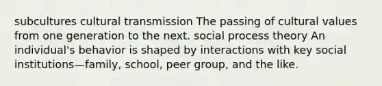 subcultures cultural transmission The passing of cultural values from one generation to the next. social process theory An individual's behavior is shaped by interactions with key social institutions—family, school, peer group, and the like.