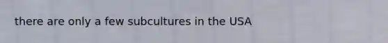 there are only a few subcultures in the USA