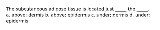 The subcutaneous adipose tissue is located just _____ the _____. a. above; dermis b. above; epidermis c. under; dermis d. under; epidermis