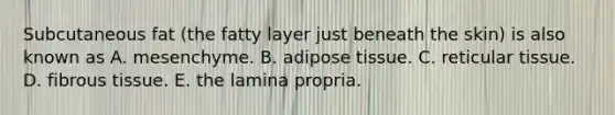 Subcutaneous fat (the fatty layer just beneath the skin) is also known as A. mesenchyme. B. adipose tissue. C. reticular tissue. D. fibrous tissue. E. the lamina propria.