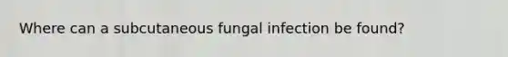 Where can a subcutaneous fungal infection be found?