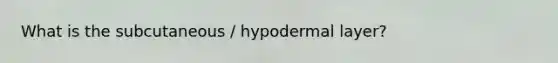 What is the subcutaneous / hypodermal layer?