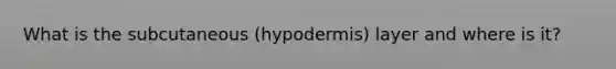 What is the subcutaneous (hypodermis) layer and where is it?