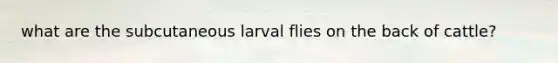 what are the subcutaneous larval flies on the back of cattle?