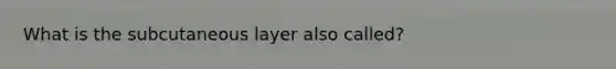 What is the subcutaneous layer also called?