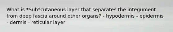 What is *Sub*cutaneous layer that separates the integument from deep fascia around other organs? - hypodermis - epidermis - dermis - reticular layer