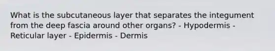 What is the subcutaneous layer that separates the integument from the deep fascia around other organs? - Hypodermis - Reticular layer - Epidermis - Dermis