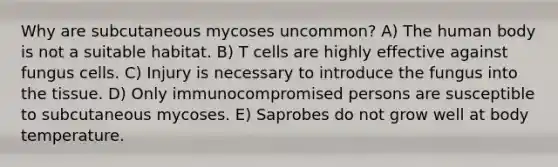 Why are subcutaneous mycoses uncommon? A) The human body is not a suitable habitat. B) T cells are highly effective against fungus cells. C) Injury is necessary to introduce the fungus into the tissue. D) Only immunocompromised persons are susceptible to subcutaneous mycoses. E) Saprobes do not grow well at body temperature.