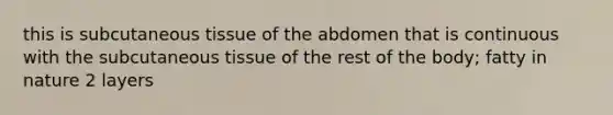 this is subcutaneous tissue of the abdomen that is continuous with the subcutaneous tissue of the rest of the body; fatty in nature 2 layers